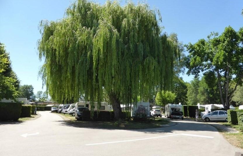 שאניי Camping Du Paquier Fane מראה חיצוני תמונה